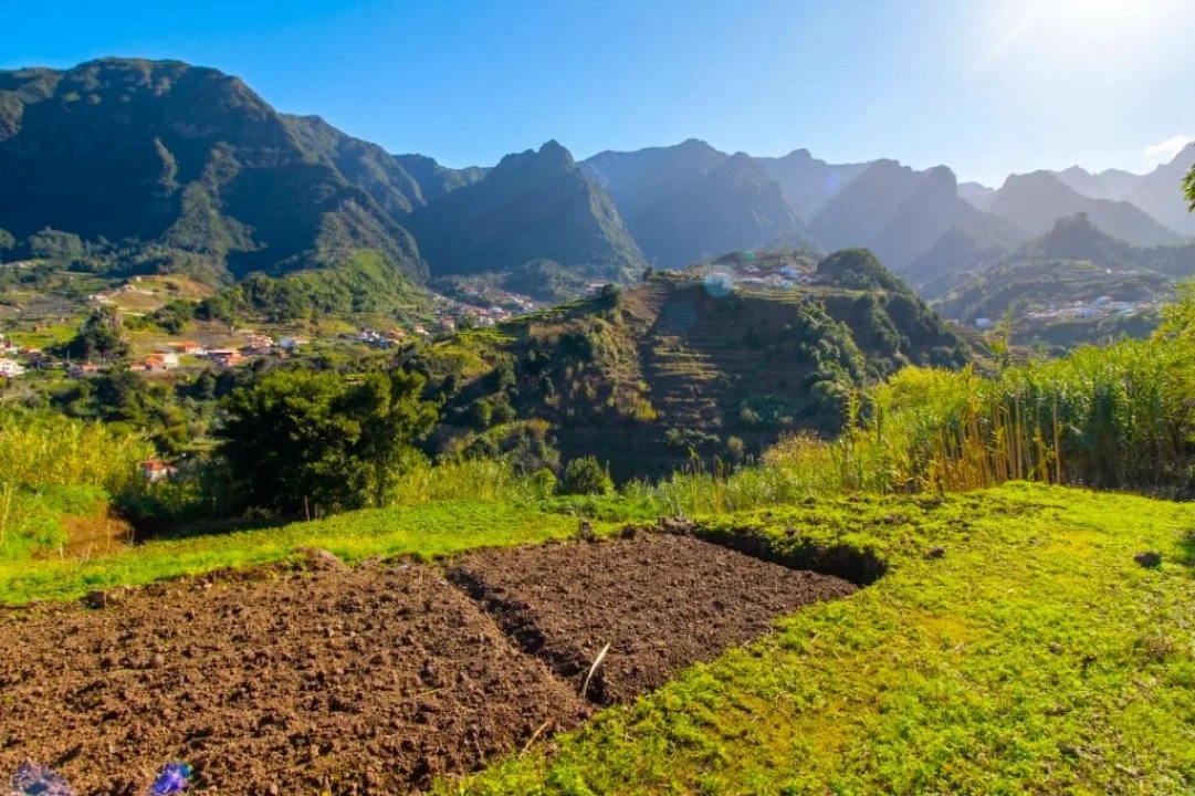 Terreno para Venda em São Vicente Foto 15