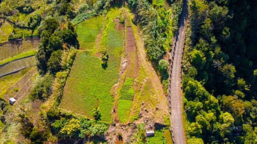 Terreno para Venda em São Vicente Foto 29