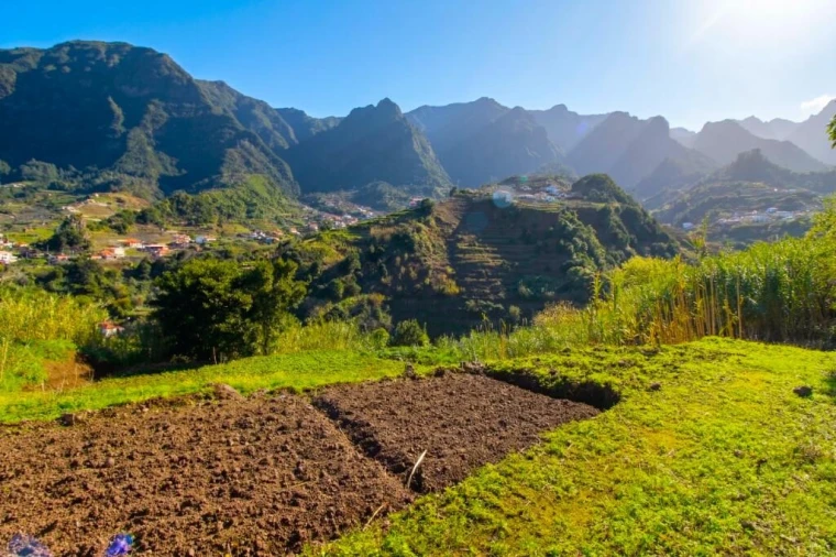 Terreno para Venda em São Vicente Foto 15