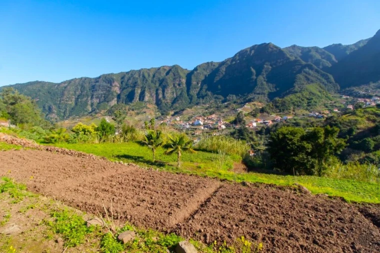 Terreno para Venda em São Vicente Foto 25