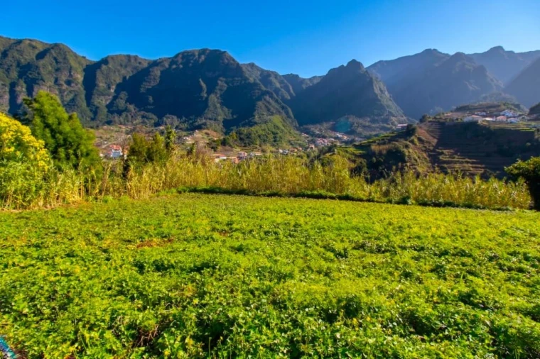 Terreno para Venda em São Vicente Foto 12