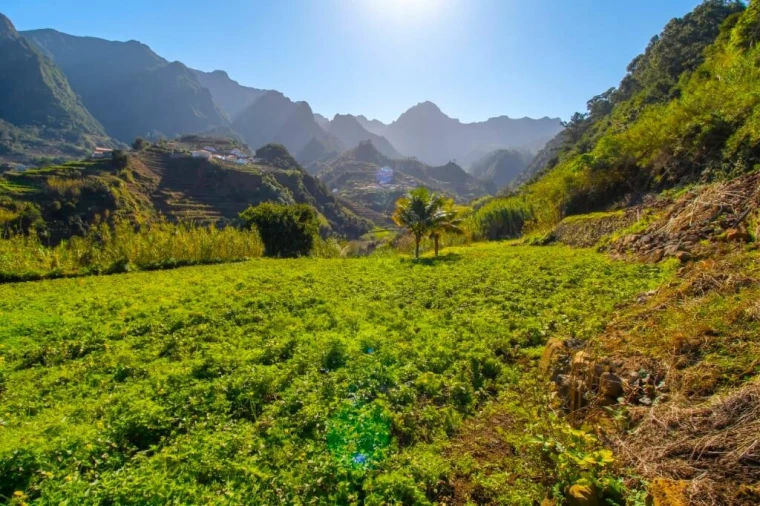 Terreno para Venda em São Vicente Foto 10