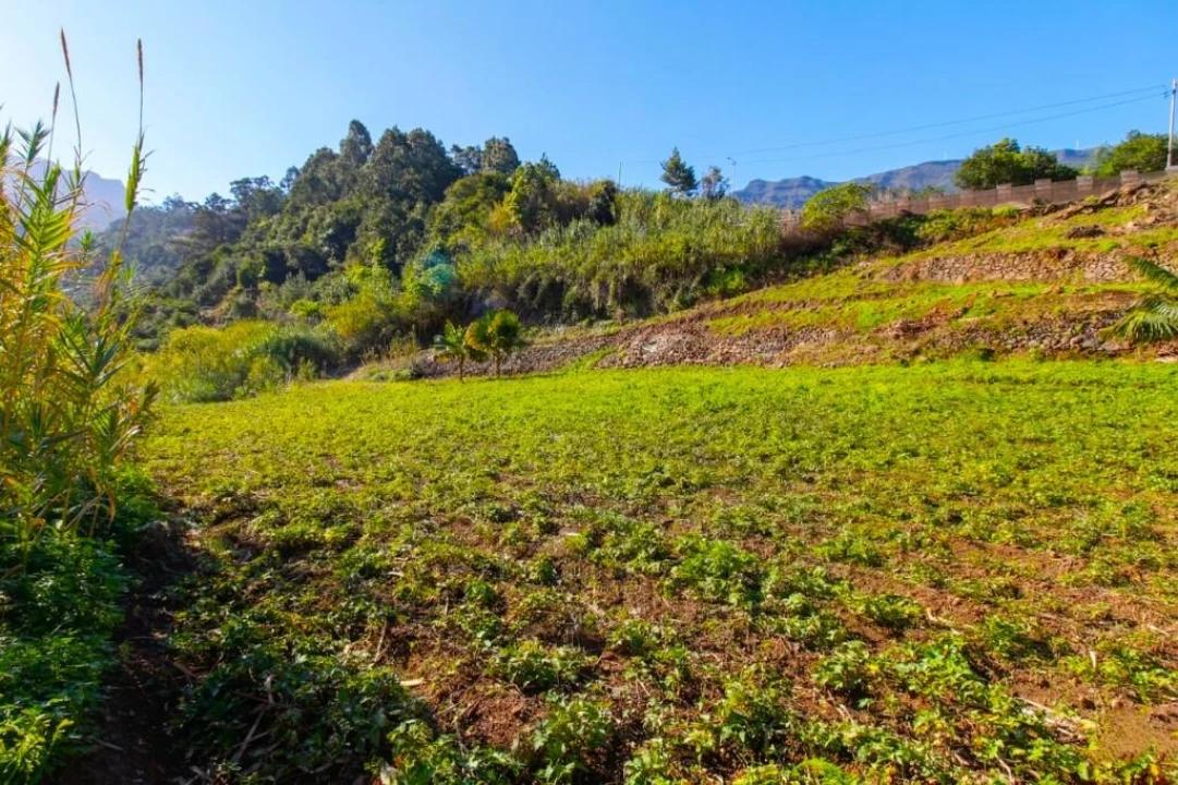 Terreno para Venda em São Vicente Foto 1