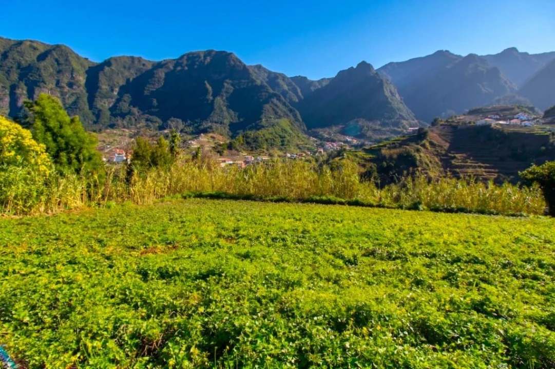 Terreno para Venda em São Vicente Foto 12