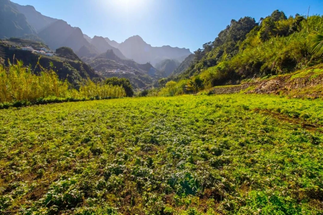 Terreno para Venda em São Vicente Foto 27