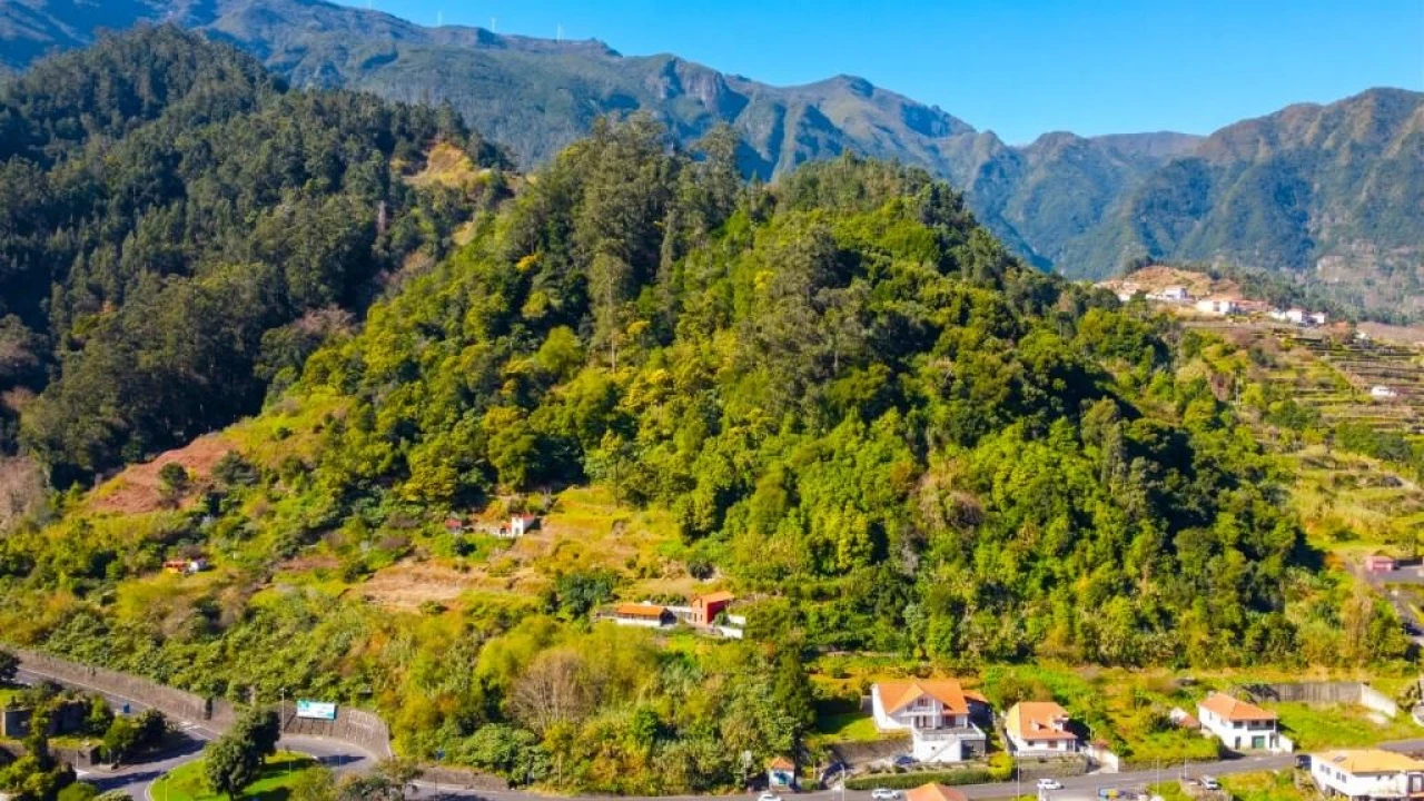 Terreno para Venda em São Vicente Foto 3