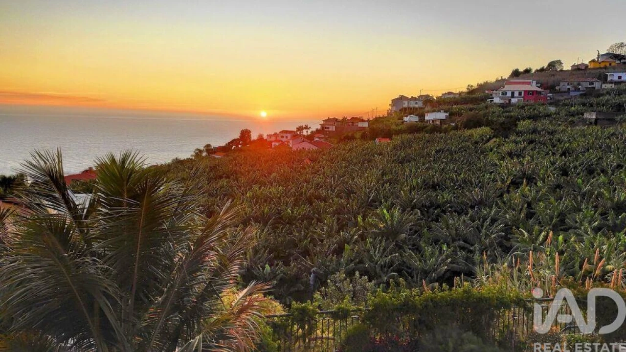 Moradia para Venda em Arco da Calheta Foto 23