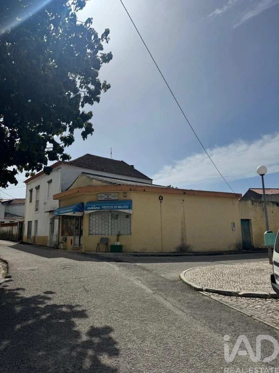 Loja para Venda em Malhou, Louriceira e Espinheiro Foto 6