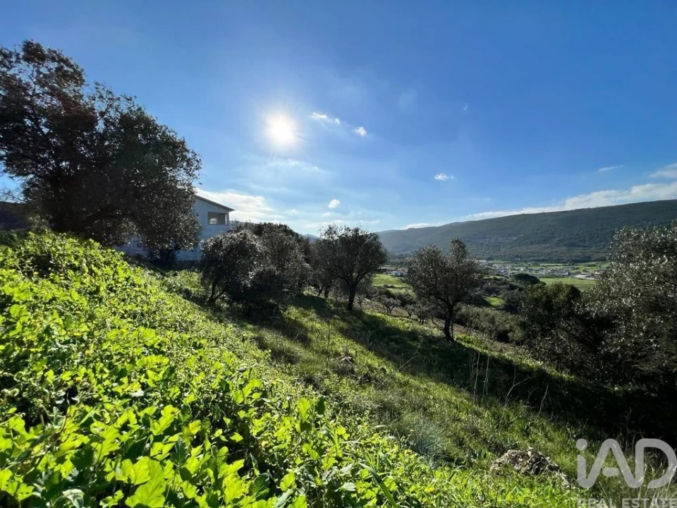 Terreno para Venda em Arrimal e Mendiga Foto 2