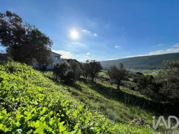 Terreno para Venda em Arrimal e Mendiga