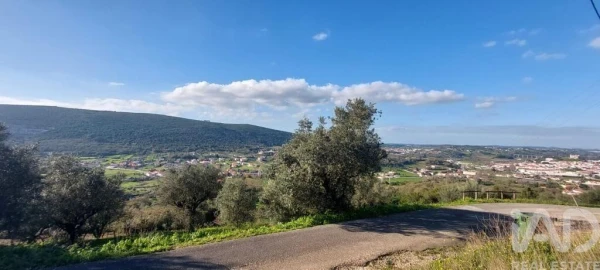 Terreno para Venda em Arrimal e Mendiga