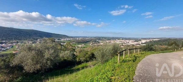 Terreno para Venda em Arrimal e Mendiga
