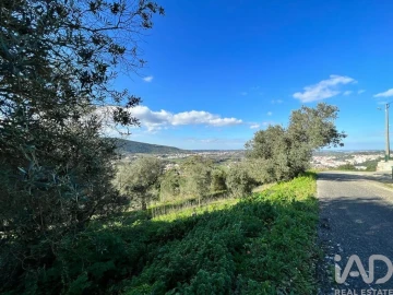 Terreno para Venda em Arrimal e Mendiga