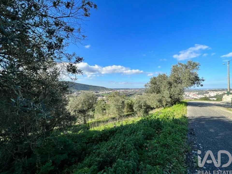 Terreno para Venda em Arrimal e Mendiga Foto 3