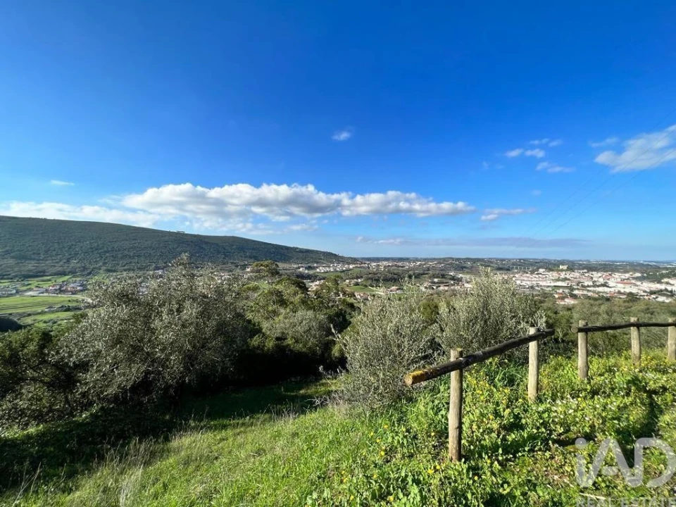 Terreno para Venda em Arrimal e Mendiga Foto 1