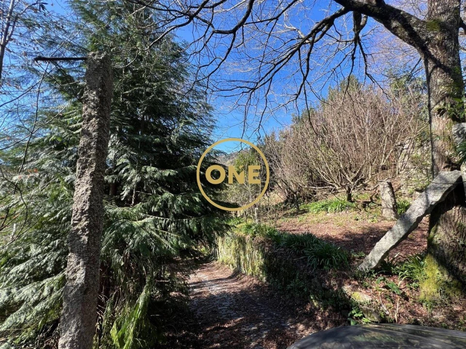 Moradia T4 para Venda em Eira Vedra Foto 23