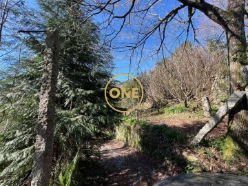 Moradia T4 para Venda em Eira Vedra