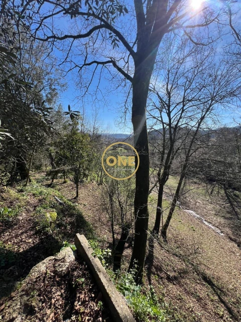 Moradia T4 para Venda em Eira Vedra