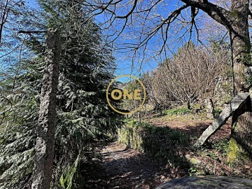 Quinta T4 para Venda em Eira Vedra