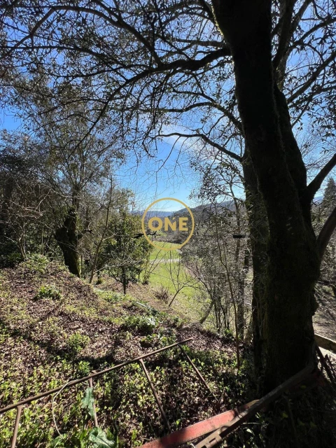 Moradia T4 para Venda em Eira Vedra