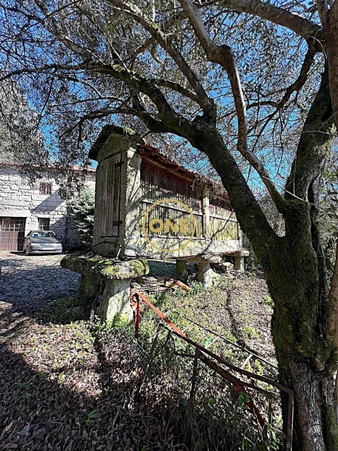 Quinta T4 para Venda em Eira Vedra