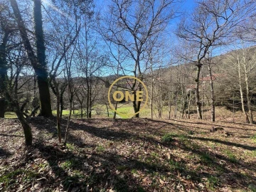 Moradia T4 para Venda em Eira Vedra