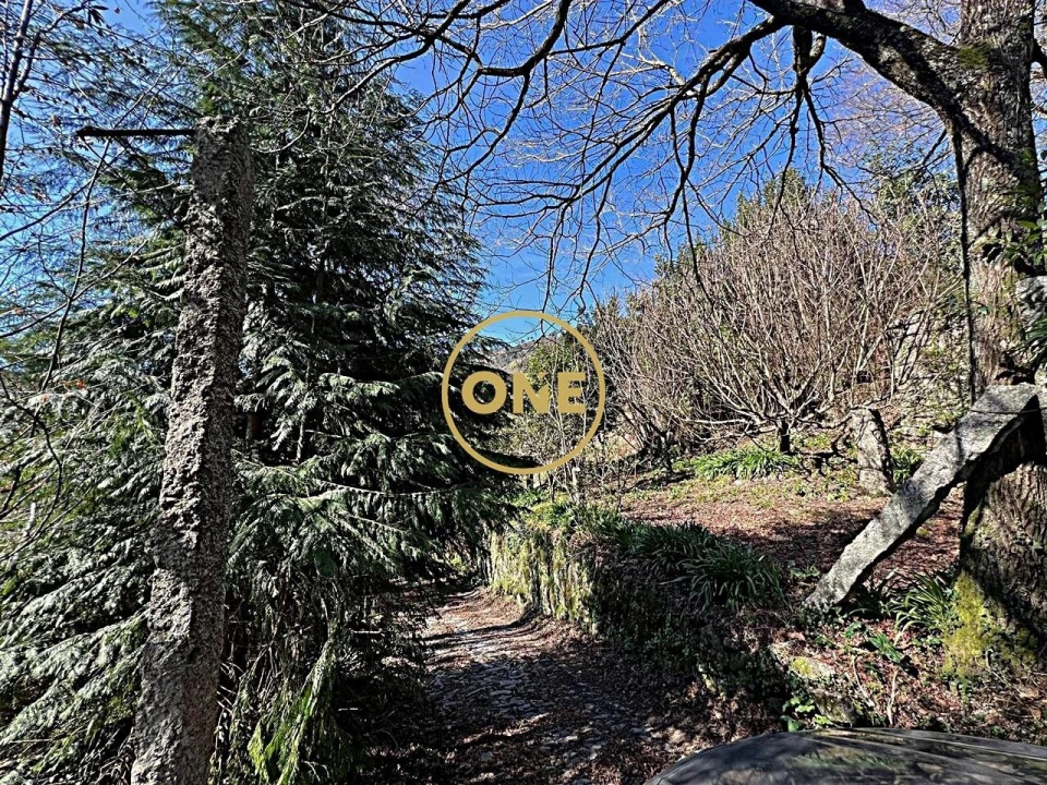 Quinta T4 para Venda em Eira Vedra Foto 38