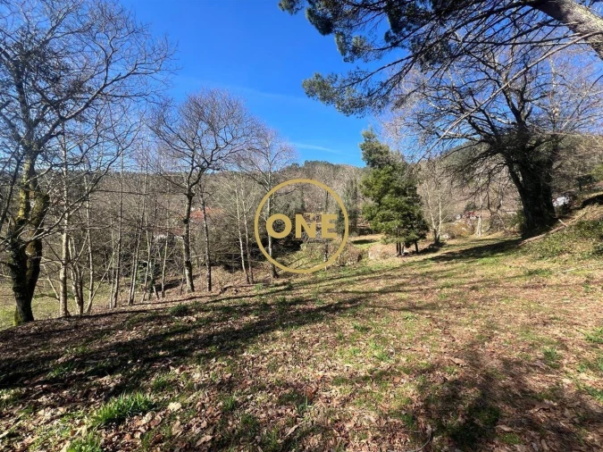 Moradia T4 para Venda em Eira Vedra Foto 33