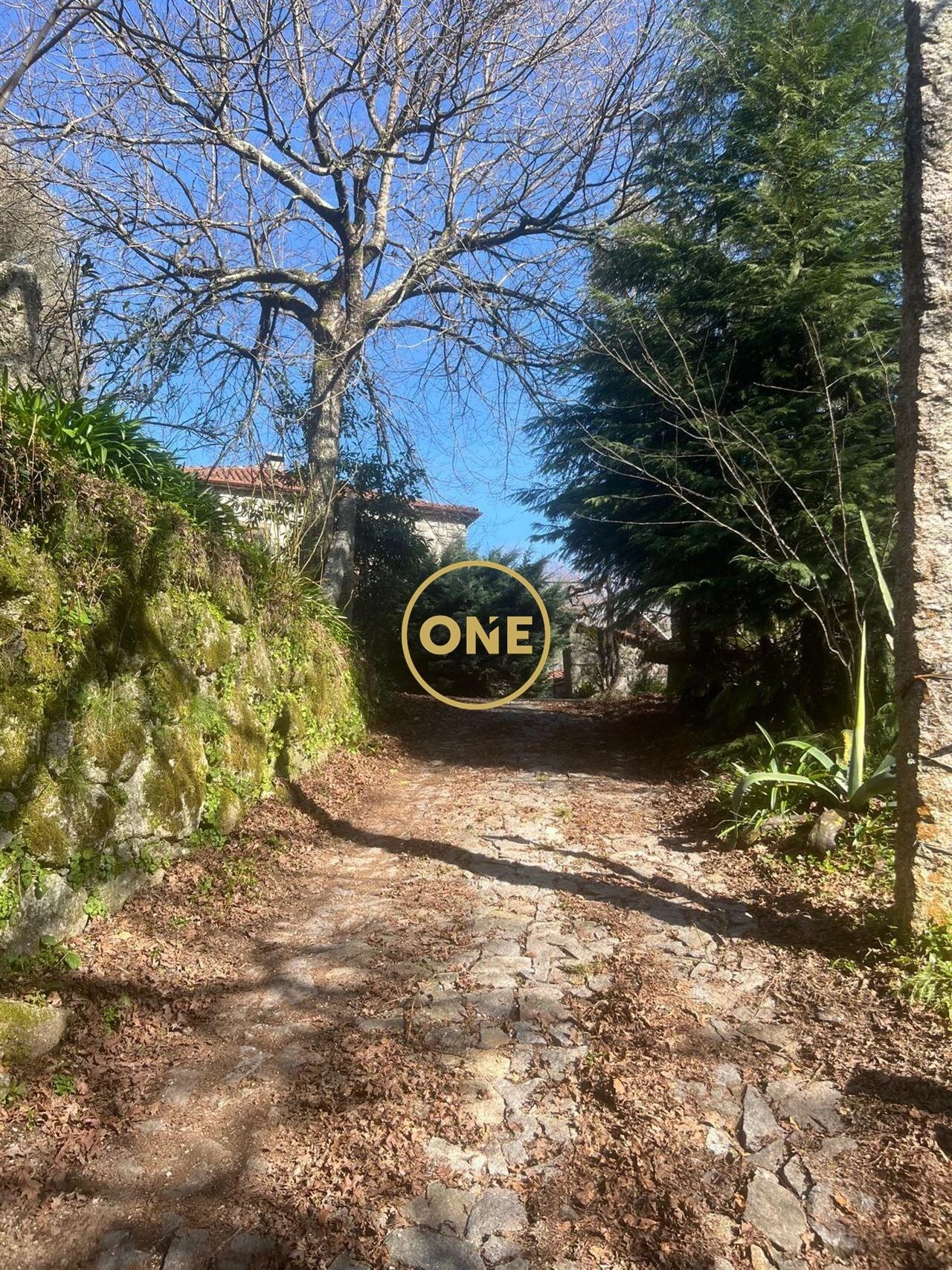 Moradia T4 para Venda em Eira Vedra Foto 29