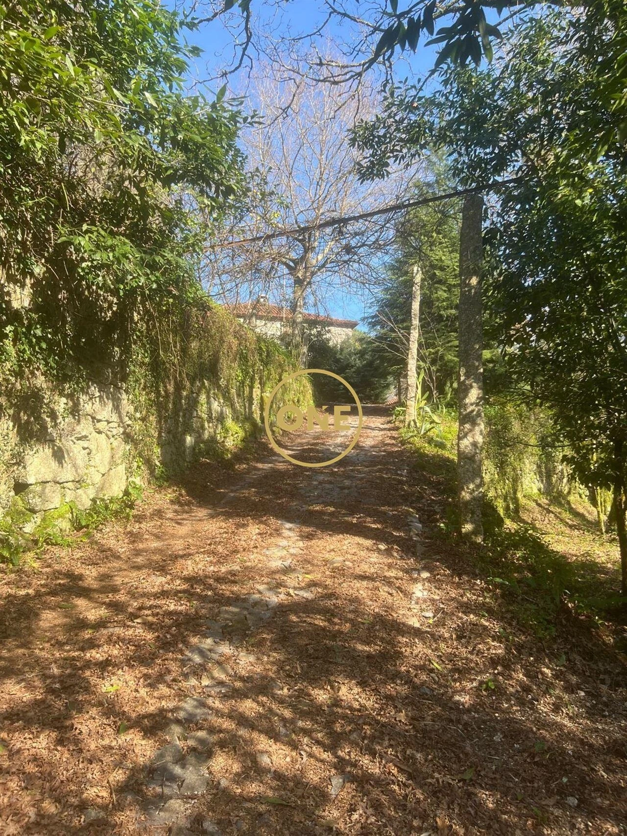 Moradia T4 para Venda em Eira Vedra Foto 30