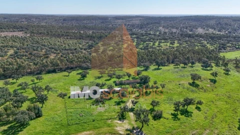 Quinta T2 para Venda em Raposa