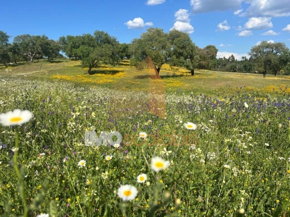 Quinta T2 para Venda em Raposa Foto 33