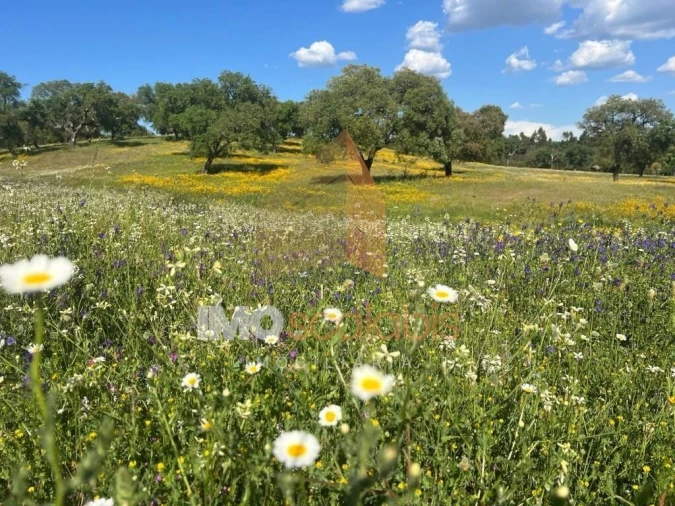 Quinta T2 para Venda em Raposa Foto 33