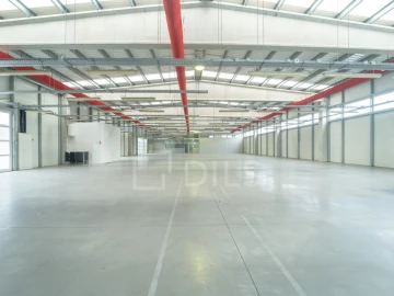 Armazém para Arrendamento em Cidade da Maia