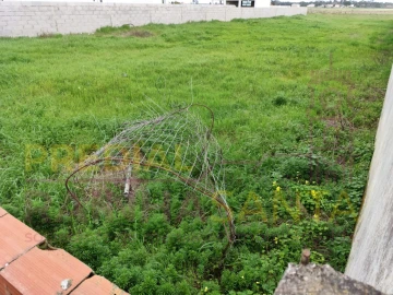 Terreno para Venda em Salvaterra de Magos e Foros de Salvaterra