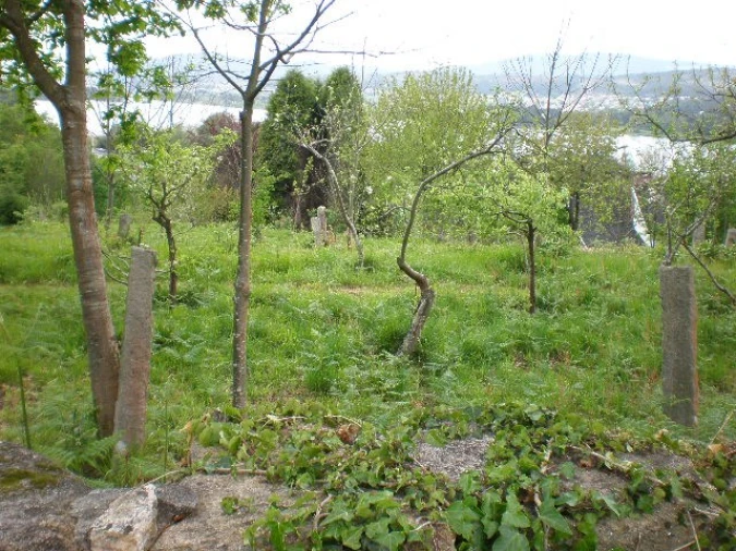 Terreno para Venda em Gondarem Foto 20