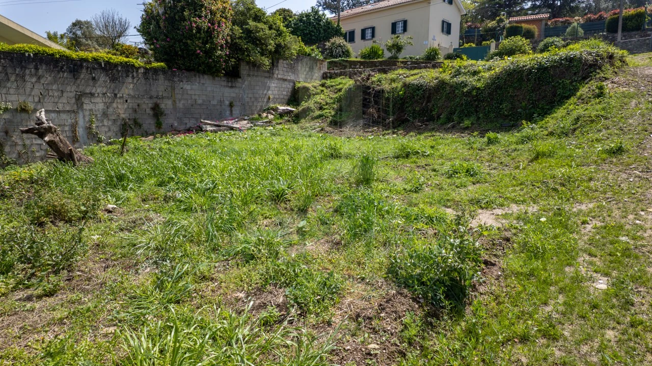 Terreno para Venda em Caminha (Matriz) e Vilarelho Foto 8