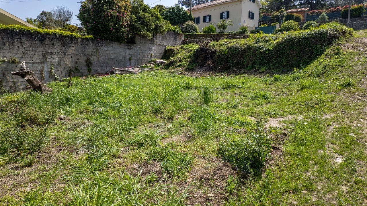Terreno para Venda em Caminha (Matriz) e Vilarelho Foto 14
