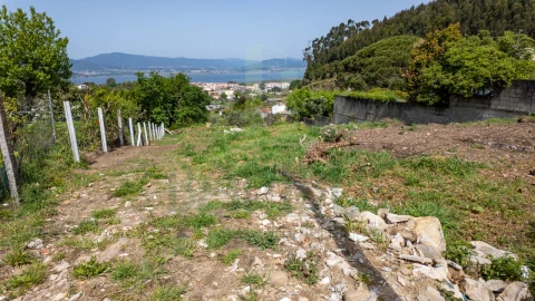Terreno para Venda em Caminha (Matriz) e Vilarelho