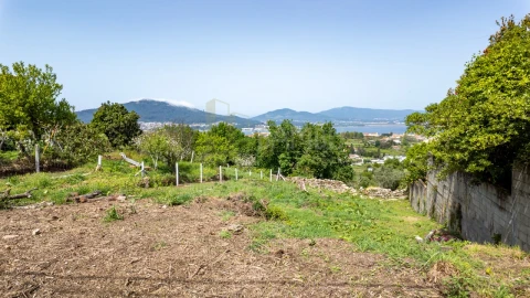 Terreno para Venda em Caminha (Matriz) e Vilarelho