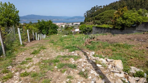 Terreno para Venda em Caminha (Matriz) e Vilarelho