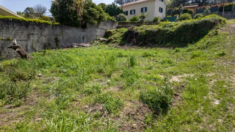Terreno para Venda em Caminha (Matriz) e Vilarelho