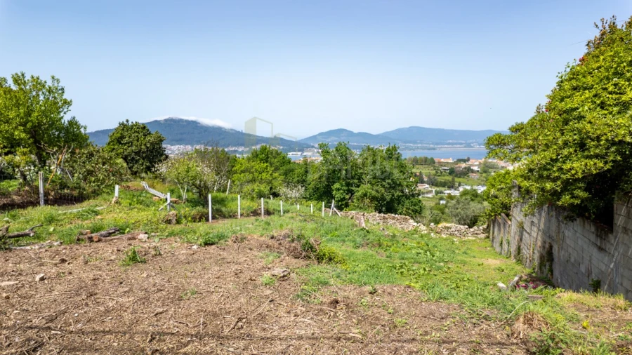 Terreno para Venda em Caminha (Matriz) e Vilarelho
