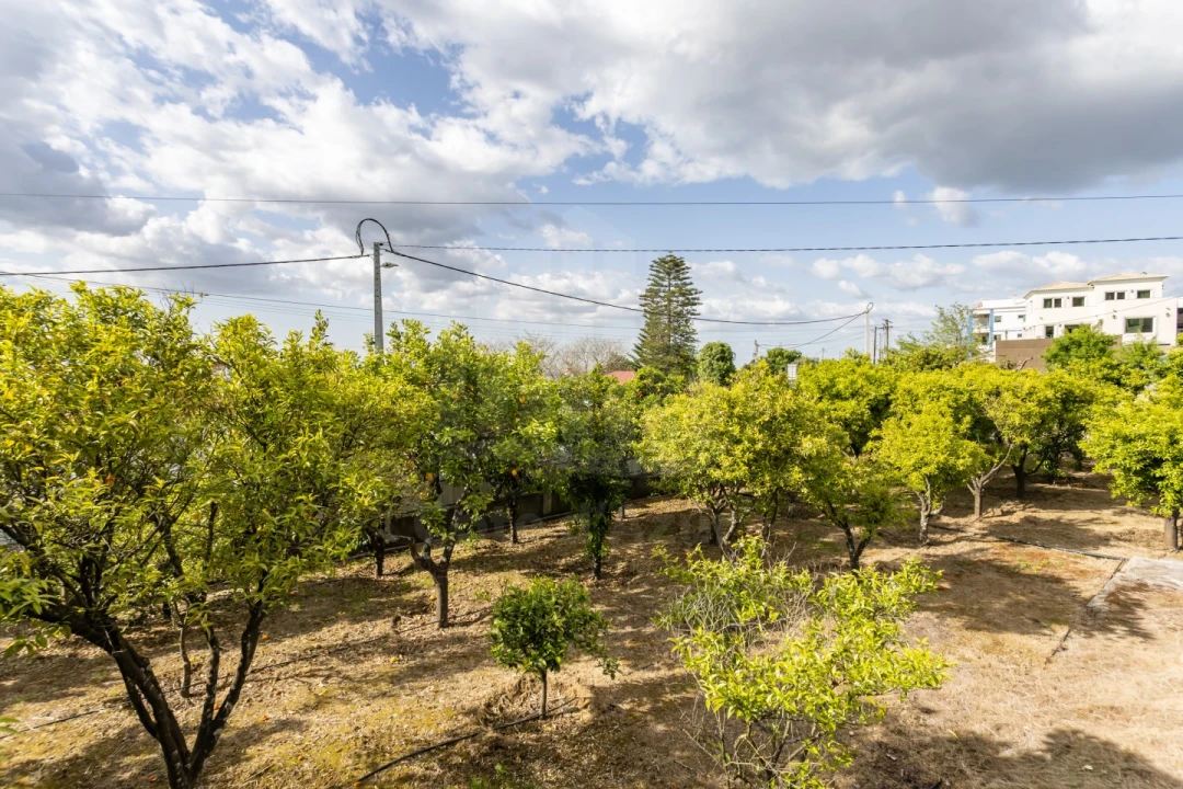 Moradia T3 para Venda em Palmela Foto 48