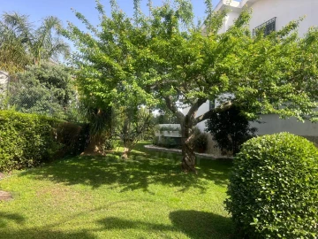 Moradia T8 para Venda em Amora