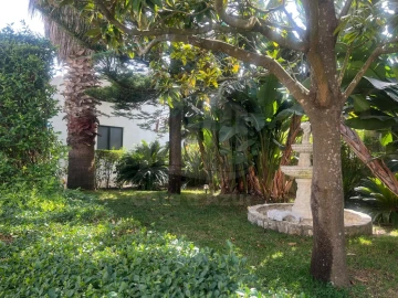 Moradia T8 para Venda em Amora