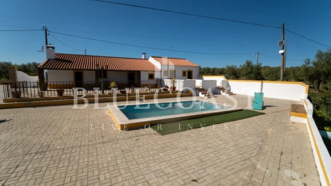 Quinta T10 para Venda em Povoa de São Miguel