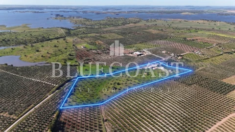 Quinta T10 para Venda em Povoa de São Miguel