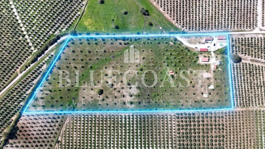 Quinta T10 para Venda em Povoa de São Miguel Foto 21