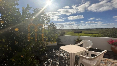 Quinta T7 para Venda em São Miguel do Pinheiro, São Pedro de Solis, São Sebastião dos Carros